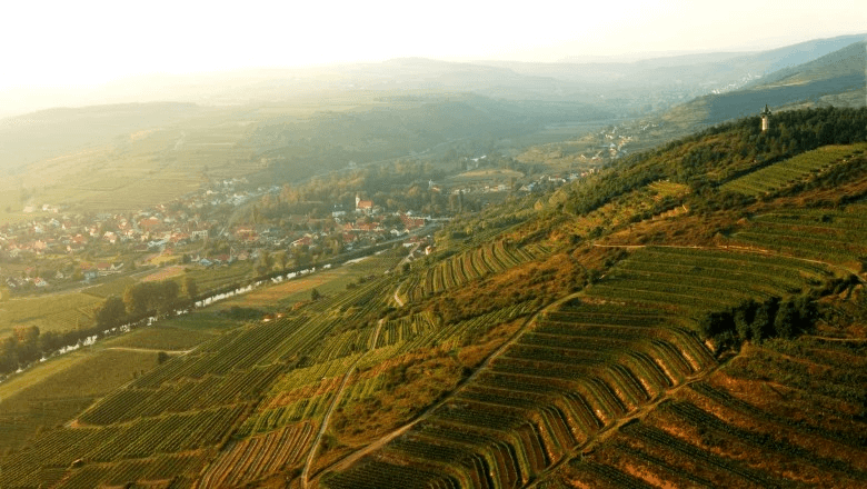 Lage Ried Zöbinger Heiligenstein
